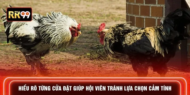 Hiểu rõ từng cửa đặt giúp hội viên tránh lựa chọn cảm tính
