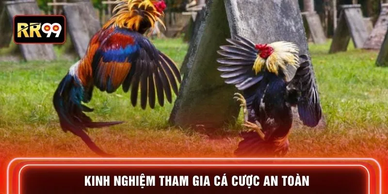 Kinh nghiệm tham gia cá cược an toàn