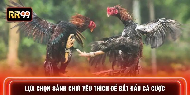 Lựa chọn sảnh chơi yêu thích để bắt đầu cá cược
