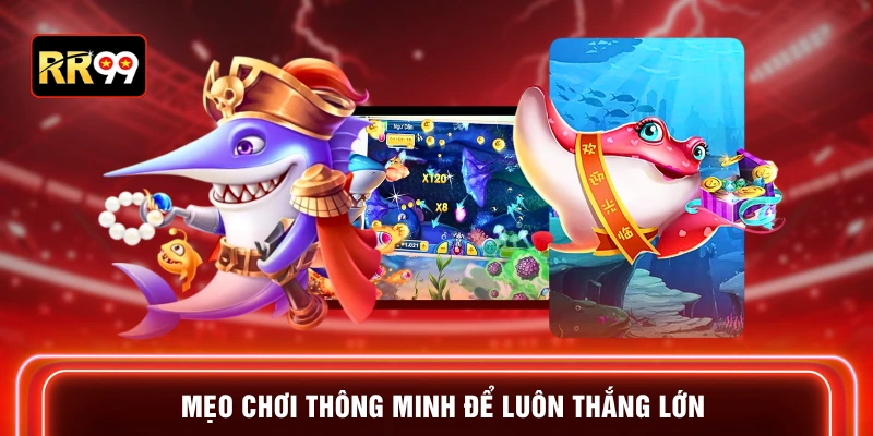 Mẹo chơi thông minh để luôn thắng lớn